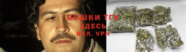ПСИЛОЦИБИНОВЫЕ ГРИБЫ Баксан