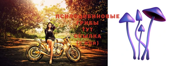 ПСИЛОЦИБИНОВЫЕ ГРИБЫ Баксан