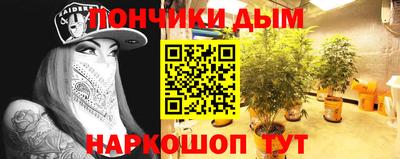 шишки Апшеронск