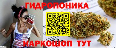 мдпв Апшеронск